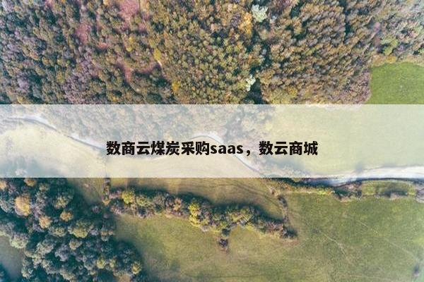 数商云煤炭采购saas，数云商城