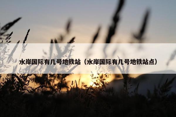 水岸国际有几号地铁站（水岸国际有几号地铁站点）