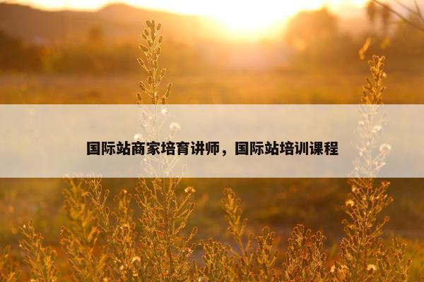 国际站商家培育讲师，国际站培训课程