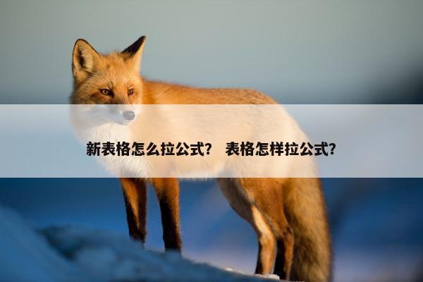 新表格怎么拉公式？ 表格怎样拉公式？