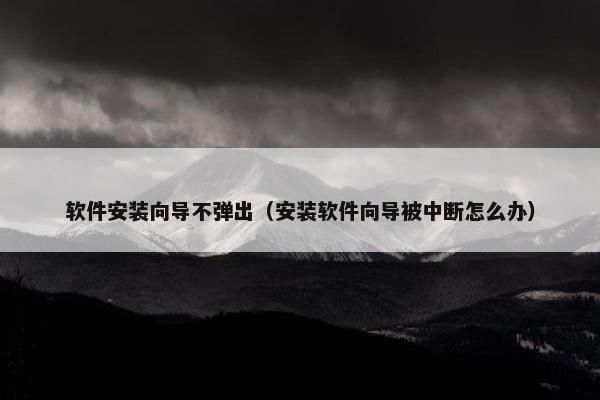 软件安装向导不弹出（安装软件向导被中断怎么办）