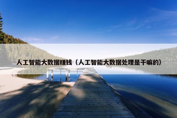 人工智能大数据赚钱（人工智能大数据处理是干嘛的）