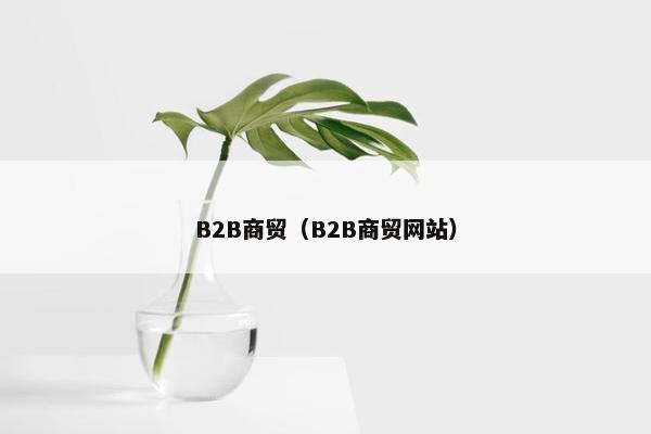 B2B商贸（B2B商贸网站）