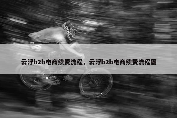 云浮b2b电商续费流程，云浮b2b电商续费流程图