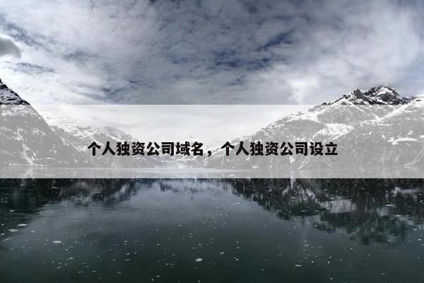 个人独资公司域名，个人独资公司设立