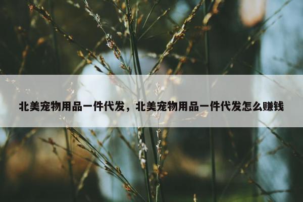 北美宠物用品一件代发，北美宠物用品一件代发怎么赚钱