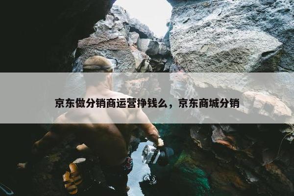 京东做分销商运营挣钱么，京东商城分销