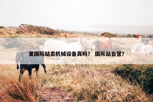 里国际站卖机械设备真吗？ 国际站自营？