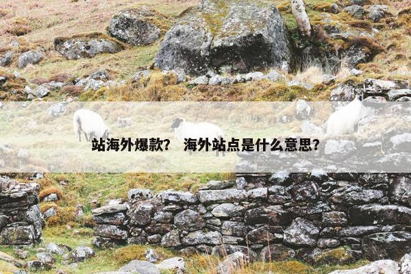 站海外爆款？ 海外站点是什么意思？