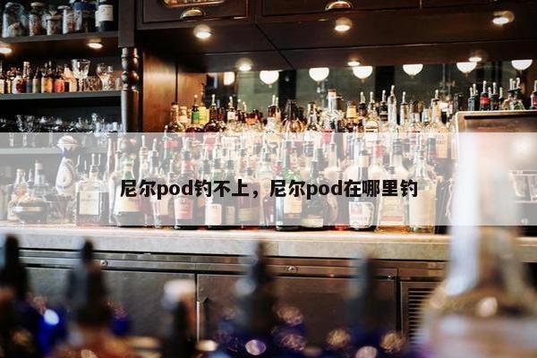 尼尔pod钓不上，尼尔pod在哪里钓