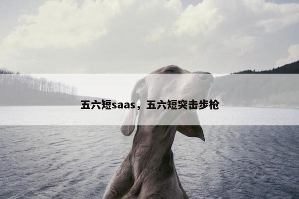 五六短saas，五六短突击步枪