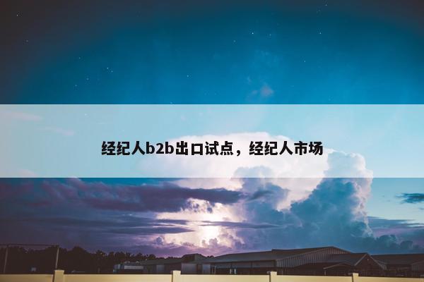 经纪人b2b出口试点，经纪人市场