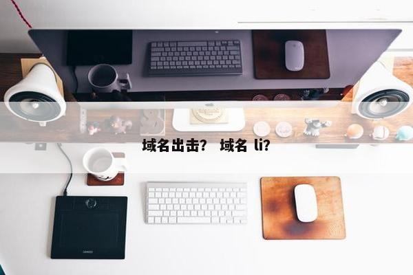 域名出击？ 域名 li？