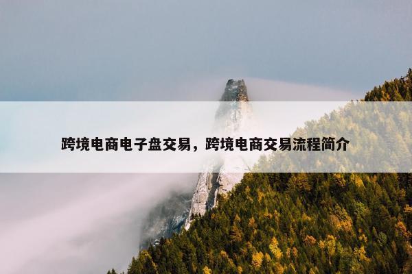 跨境电商电子盘交易，跨境电商交易流程简介