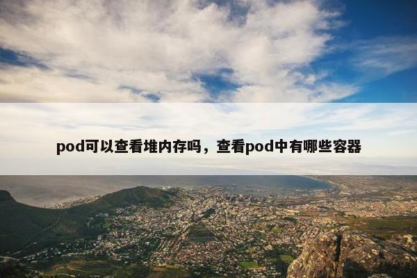 pod可以查看堆内存吗，查看pod中有哪些容器