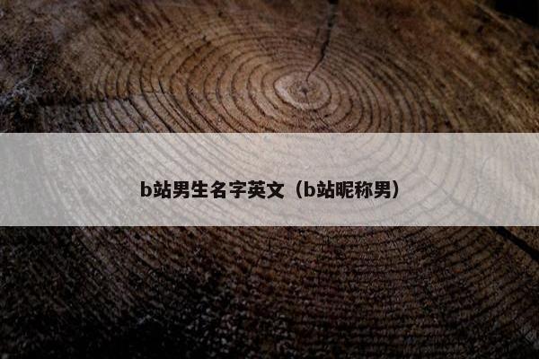 b站男生名字英文（b站昵称男）