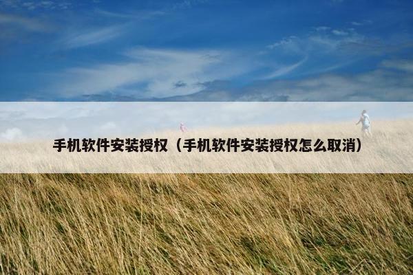 手机软件安装授权（手机软件安装授权怎么取消）