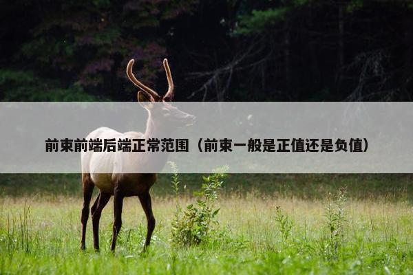 前束前端后端正常范围（前束一般是正值还是负值）