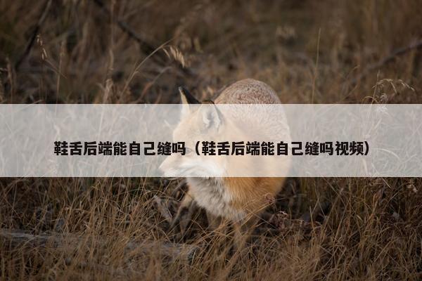 鞋舌后端能自己缝吗（鞋舌后端能自己缝吗视频）