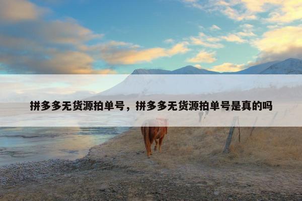拼多多无货源拍单号，拼多多无货源拍单号是真的吗