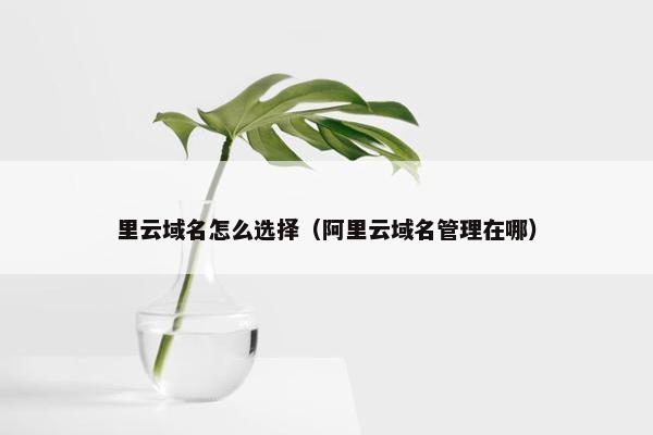 里云域名怎么选择（阿里云域名管理在哪）