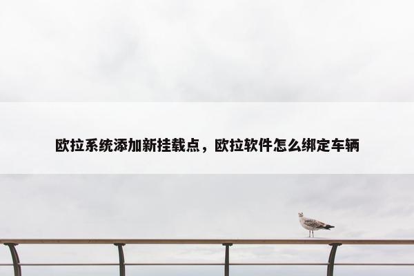 欧拉系统添加新挂载点，欧拉软件怎么绑定车辆