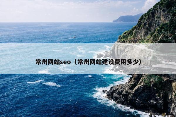 常州网站seo（常州网站建设费用多少）