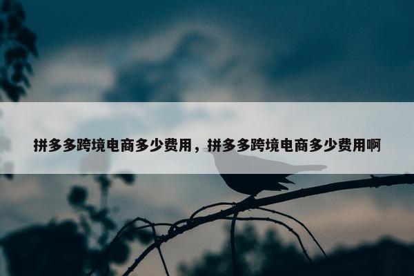 拼多多跨境电商多少费用，拼多多跨境电商多少费用啊