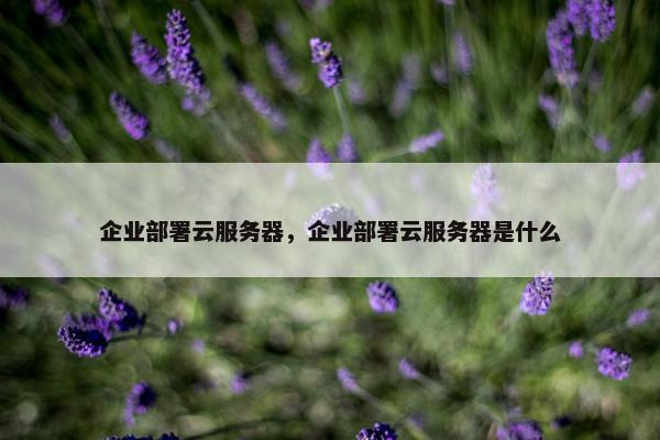 企业部署云服务器，企业部署云服务器是什么