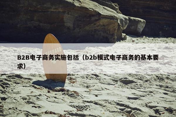 B2B电子商务实施包括（b2b模式电子商务的基本要求）