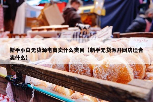 新手小白无货源电商卖什么类目（新手无货源开网店适合卖什么）
