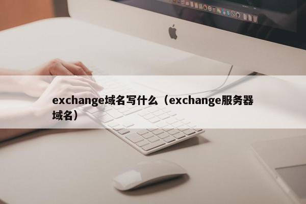 exchange域名写什么（exchange服务器域名）