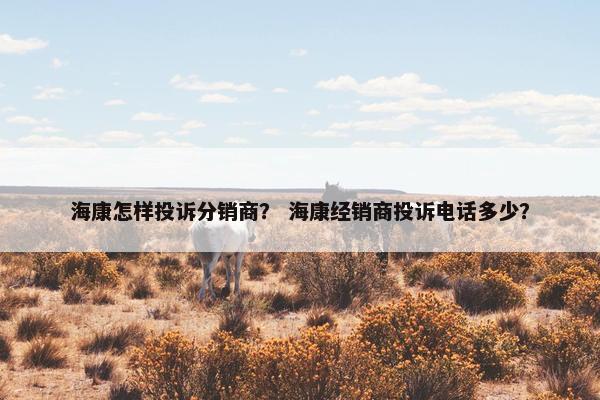海康怎样投诉分销商？ 海康经销商投诉电话多少？