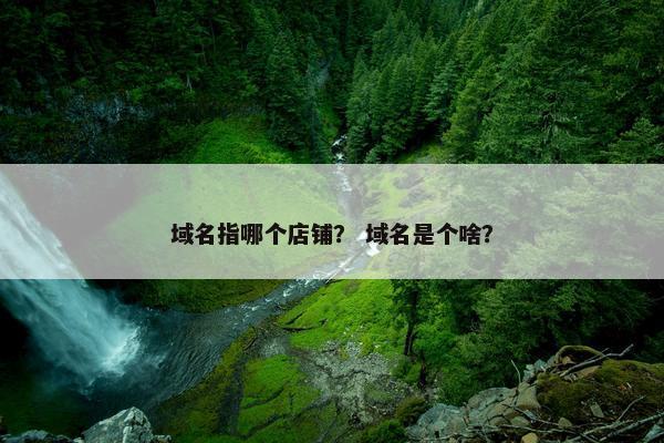 域名指哪个店铺？ 域名是个啥？