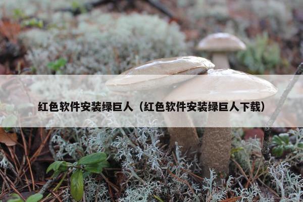 红色软件安装绿巨人（红色软件安装绿巨人下载）