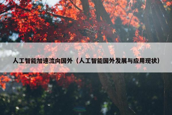 人工智能加速流向国外（人工智能国外发展与应用现状）