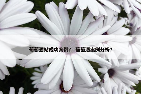葡萄酒站成功案例？ 葡萄酒案例分析？