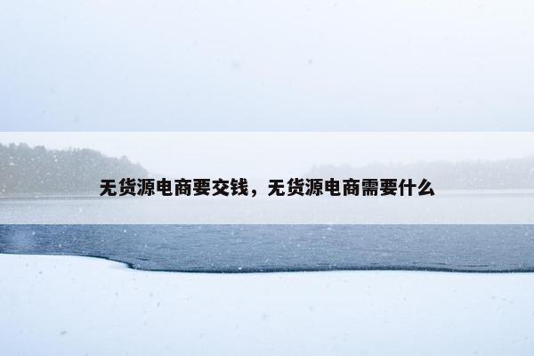 无货源电商要交钱，无货源电商需要什么