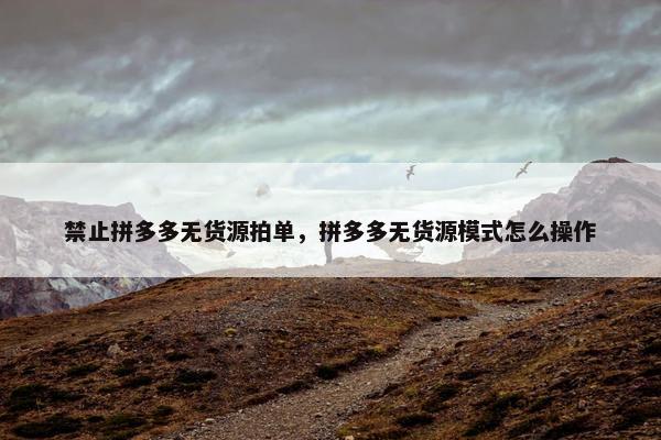 禁止拼多多无货源拍单，拼多多无货源模式怎么操作