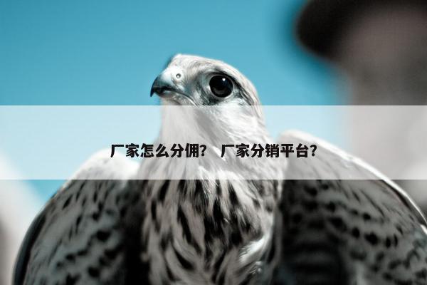 厂家怎么分佣？ 厂家分销平台？