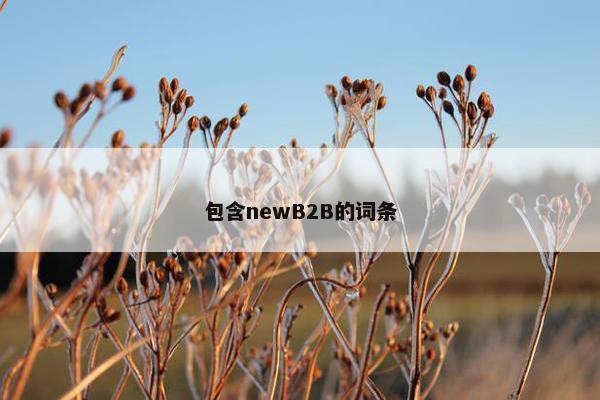 包含newB2B的词条