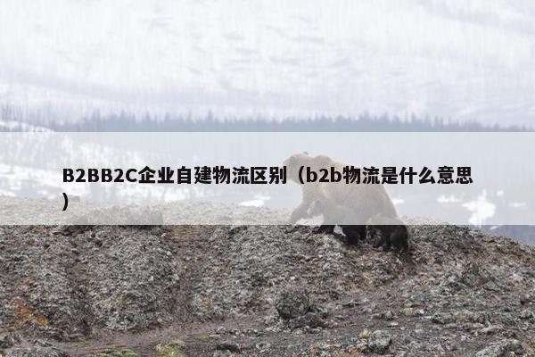 B2BB2C企业自建物流区别（b2b物流是什么意思）