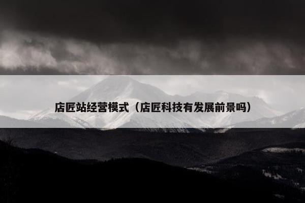 店匠站经营模式（店匠科技有发展前景吗）