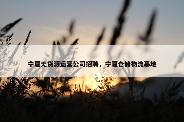 宁夏无货源运营公司招聘，宁夏仓储物流基地