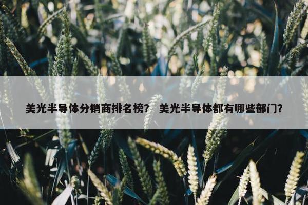 美光半导体分销商排名榜？ 美光半导体都有哪些部门？