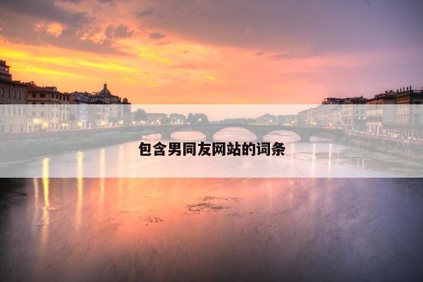 包含男同友网站的词条