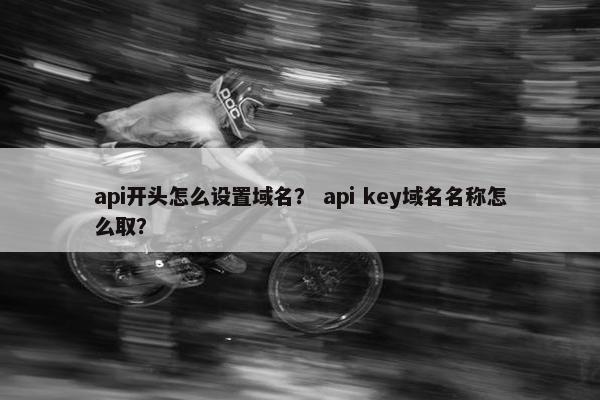 api开头怎么设置域名？ api key域名名称怎么取？