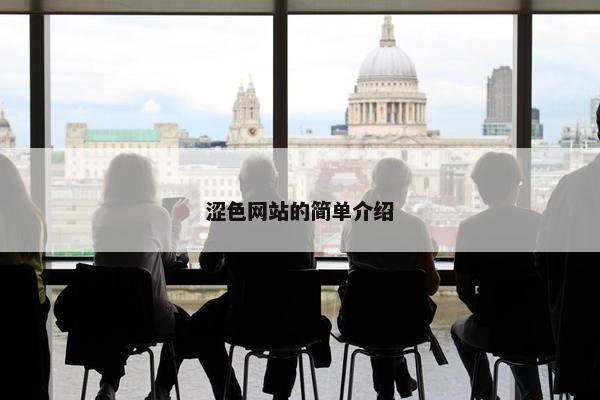 涩色网站的简单介绍