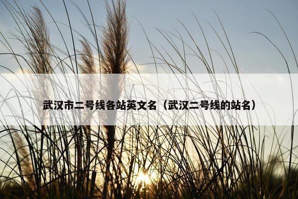 武汉市二号线各站英文名（武汉二号线的站名）