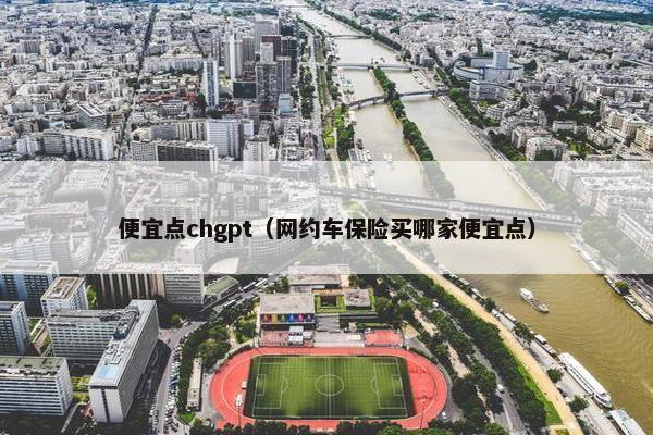 便宜点chgpt（网约车保险买哪家便宜点）
